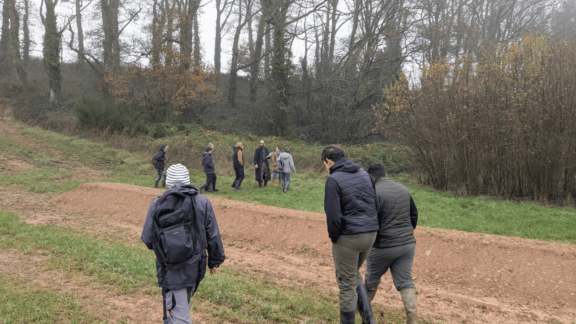 Construction-haie-nature-environnement-GMNF-Faune